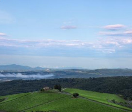 A Look At The Wine Cellar - Castiglion del Bosco